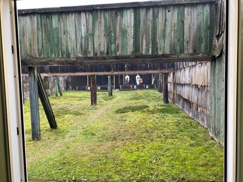 ms 8 20191112 1142495897